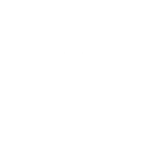 Share Icon
